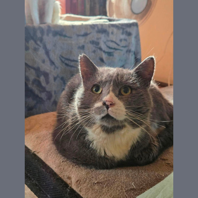 Photo of Uncle Bear
