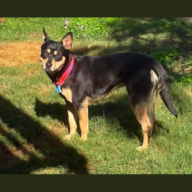 Photo of Tilly