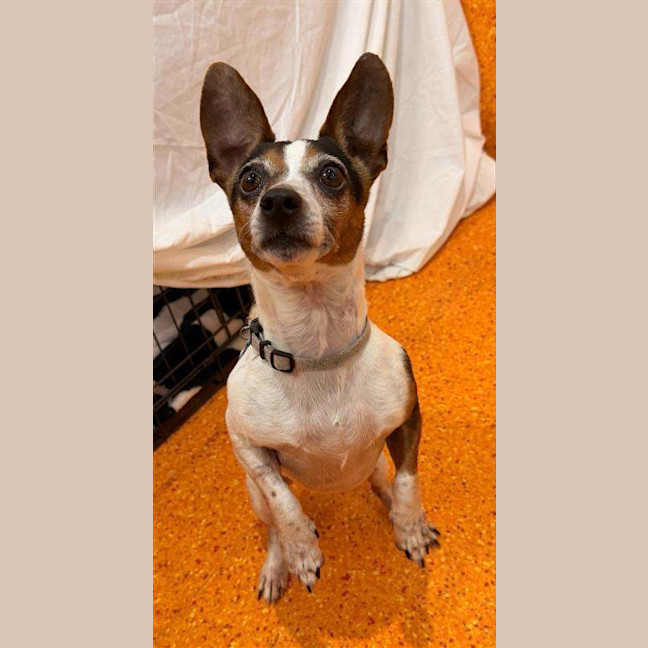 Photo of Timmy