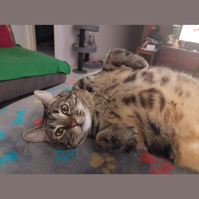 Photo of Sid