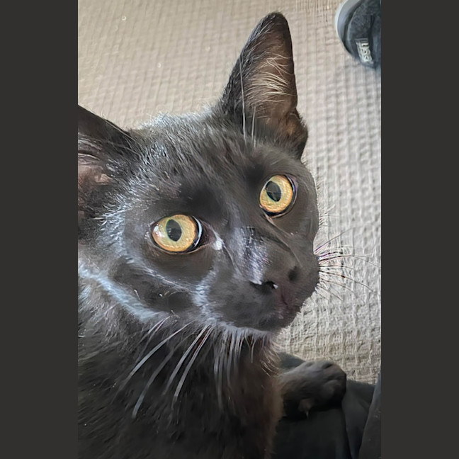Photo of Sammy