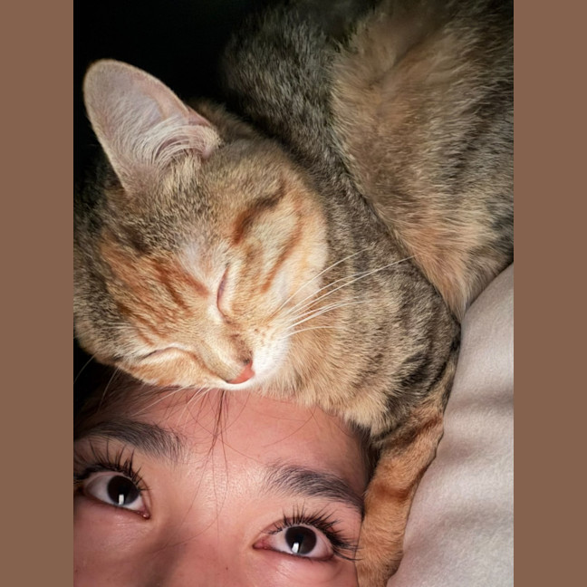 Photo of Honey