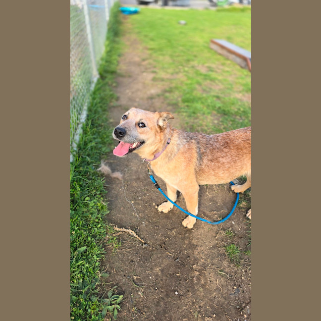 Photo of Sage   64143