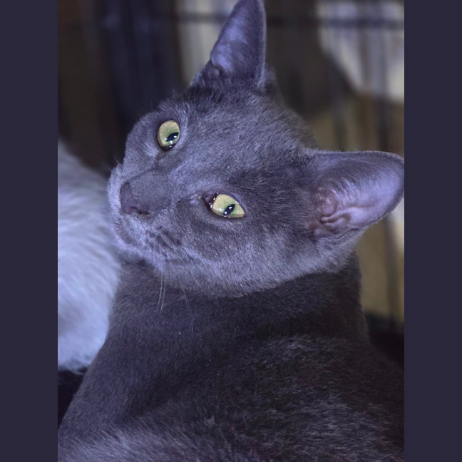 Photo of Kiddy Poppins