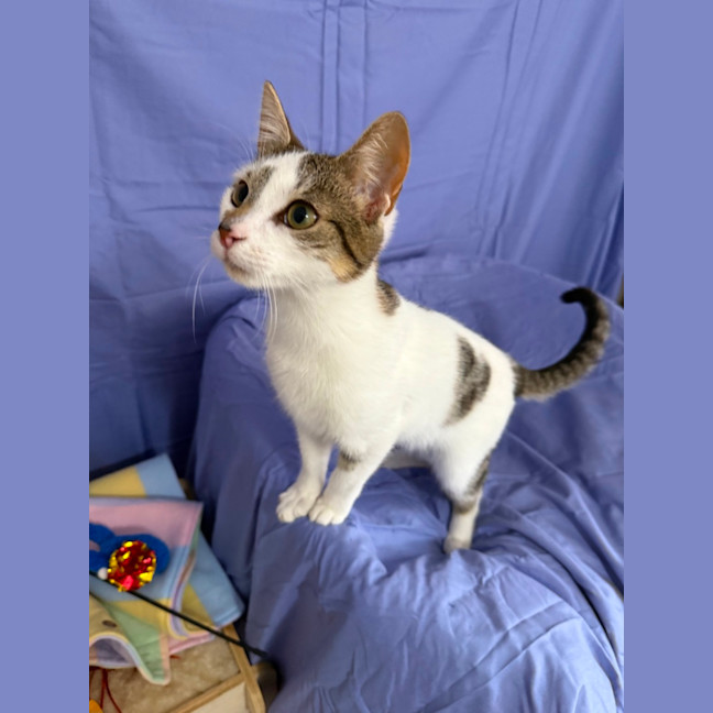 Photo of Richie 💙