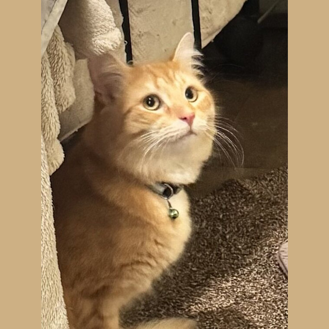 Photo of Jasper