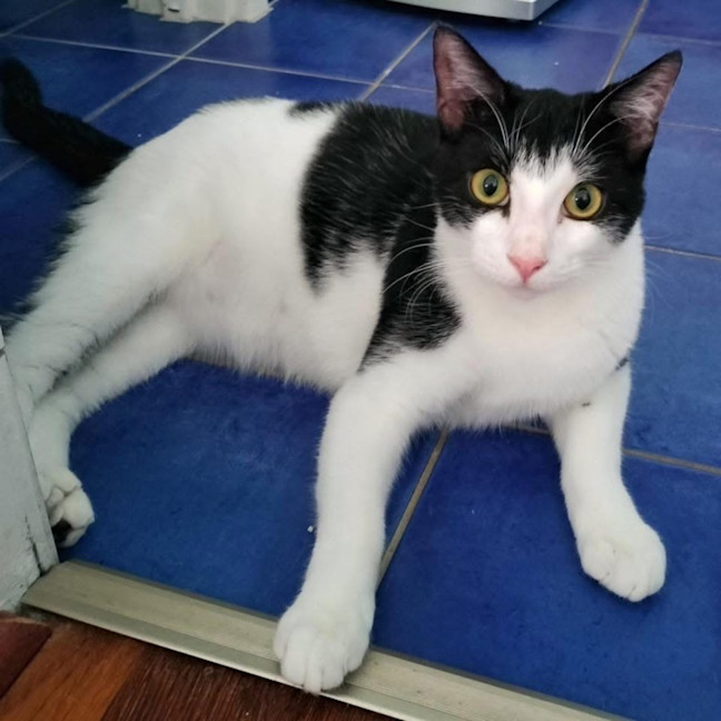 Photo of 11847   Baker