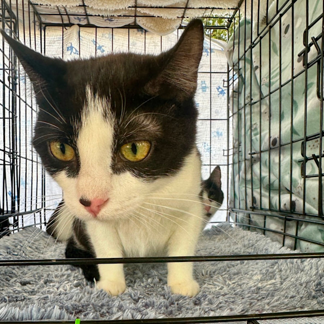 Photo of Meg And Amy