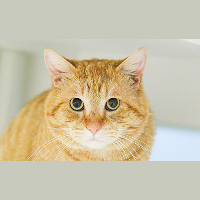Photo of Georgie