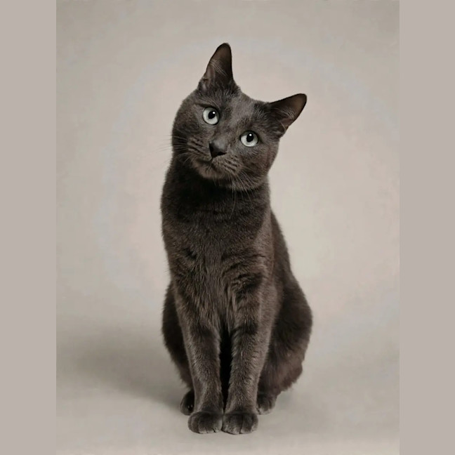 Photo of Max