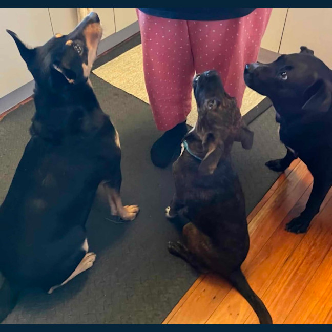 Photo of Georgie Girl