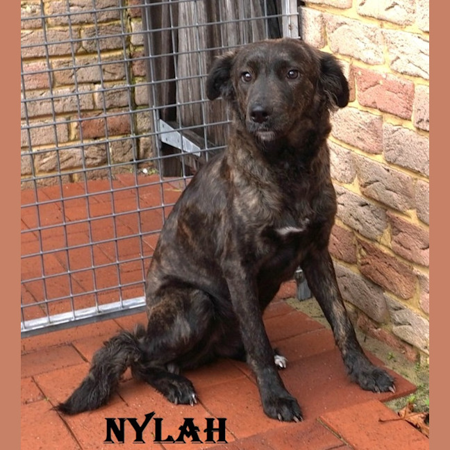 Photo of Nylah