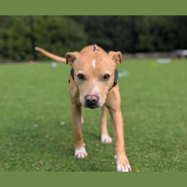 Photo of Lulu