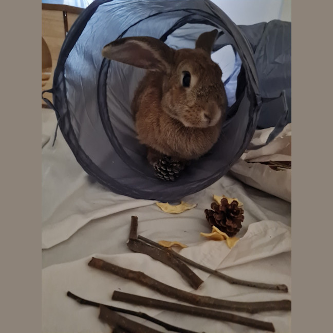 Photo of Yoghurt And Yum Cha