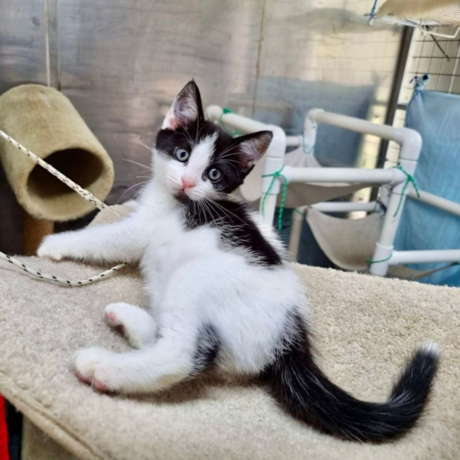 Photo of Jersey Girl