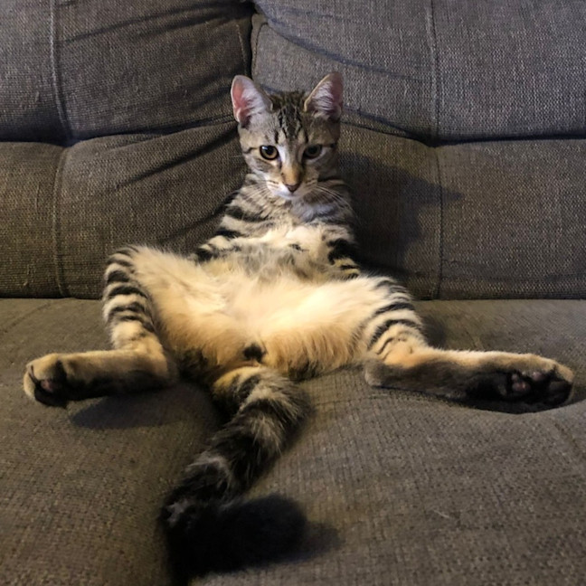 Photo of Skip