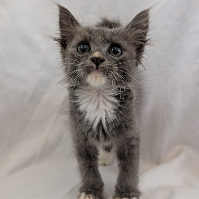 Photo of Mooni