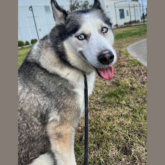 Photo of Storm