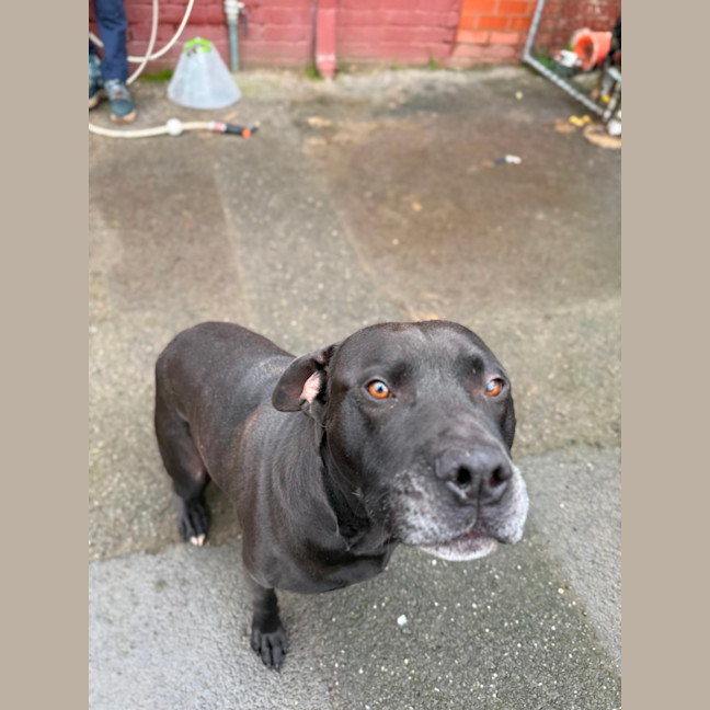 Photo of Bandit
