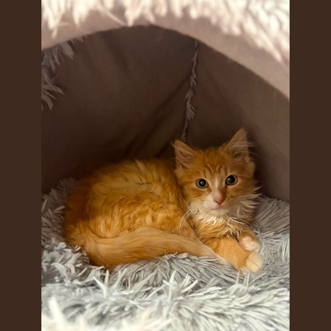 Photo of Theo