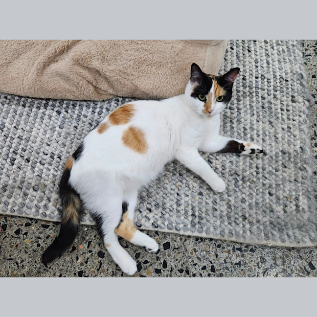 Photo of Mitzi