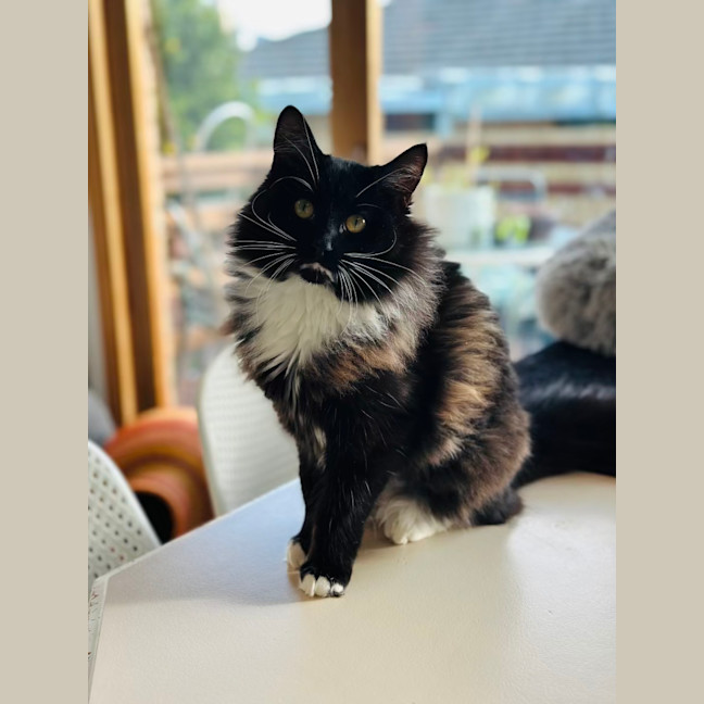 Photo of Mimi
