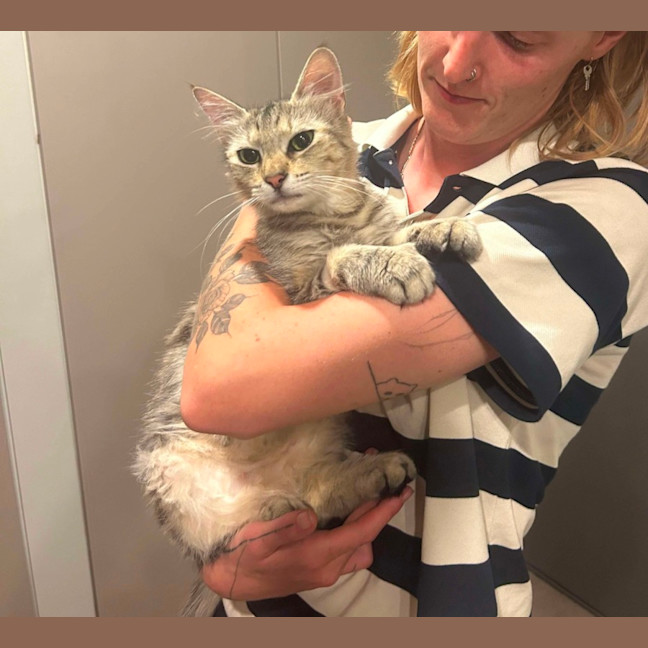 Photo of Blondie 🩷 