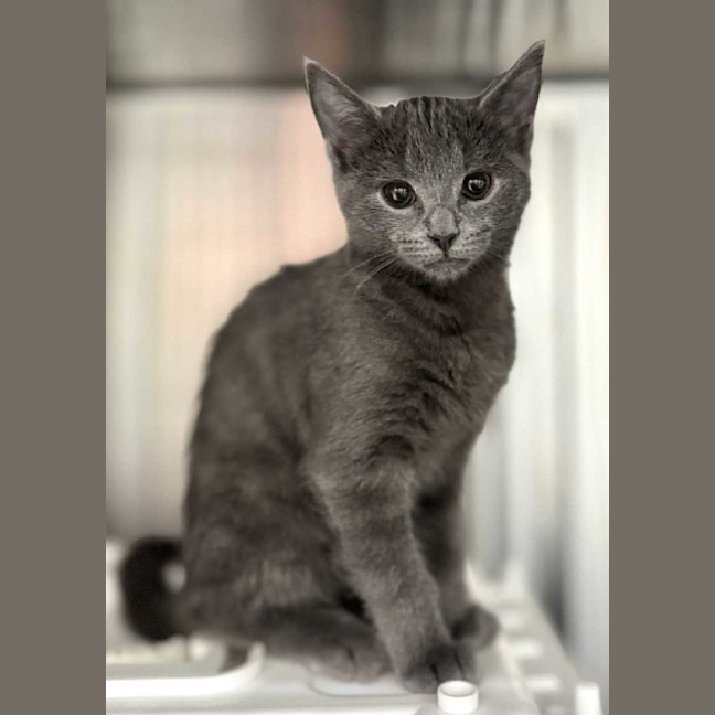 Photo of Dee   Located In Preston