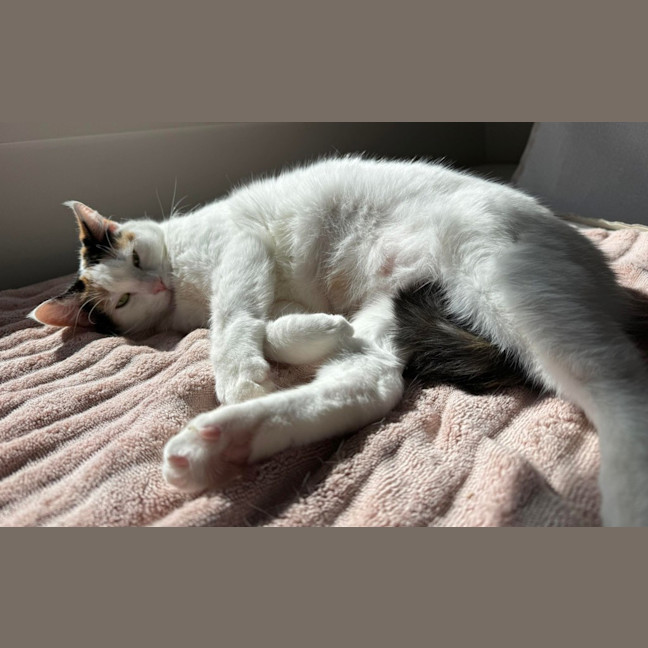 Photo of Fleur