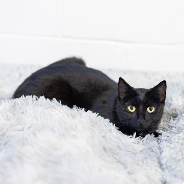 Photo of Betty
