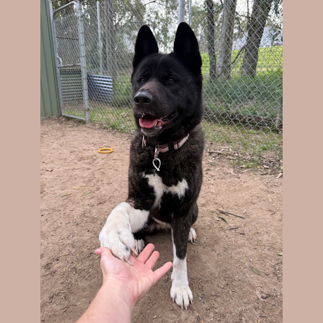 Photo of Kita