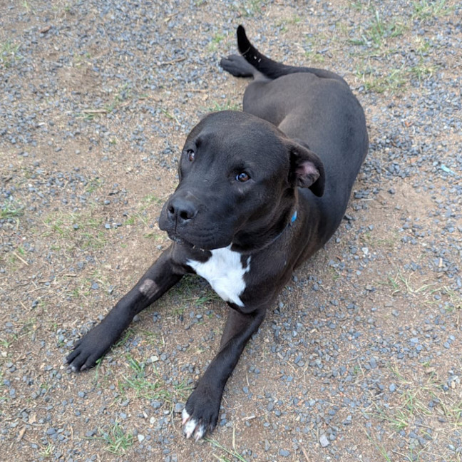 Photo of Wesley