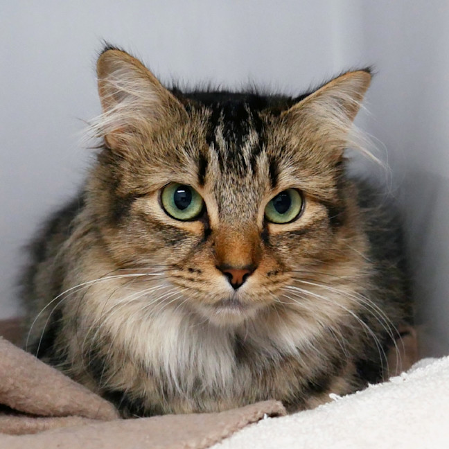 Photo of Ujo Stk013174