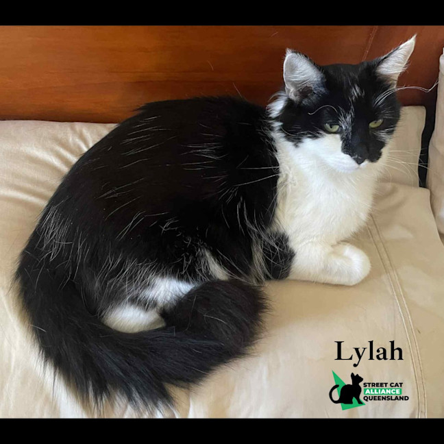 Photo of Lylah