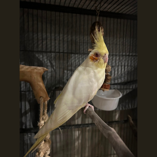 Photo of Spunky Punky