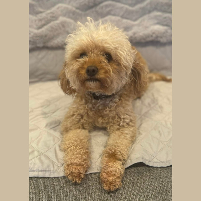 Photo of Winnie 
