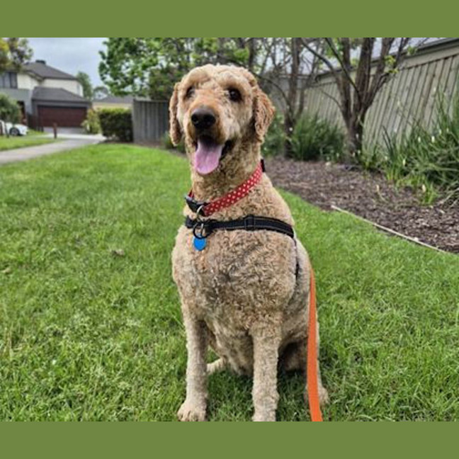 Photo of Macey