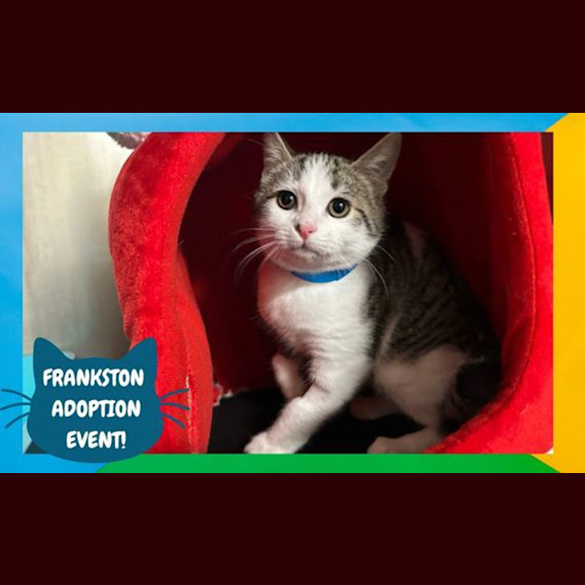 Photo of Chance