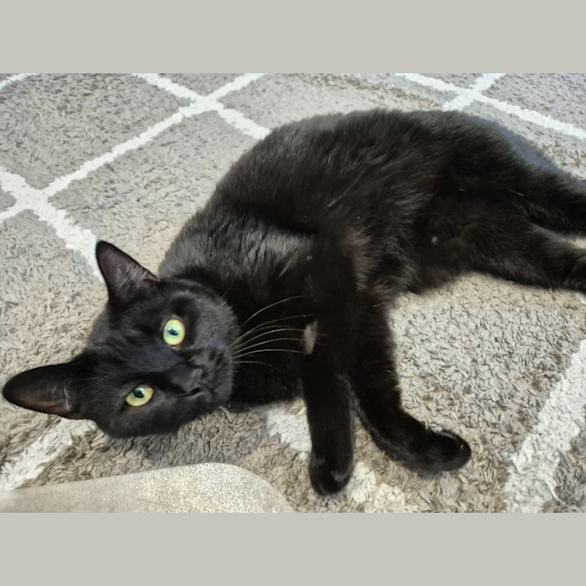 Photo of Honey