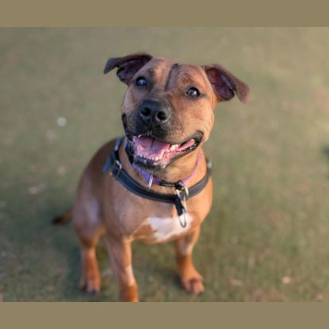 Photo of Winnie