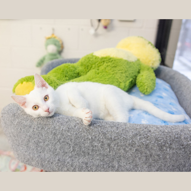 Photo of Baby