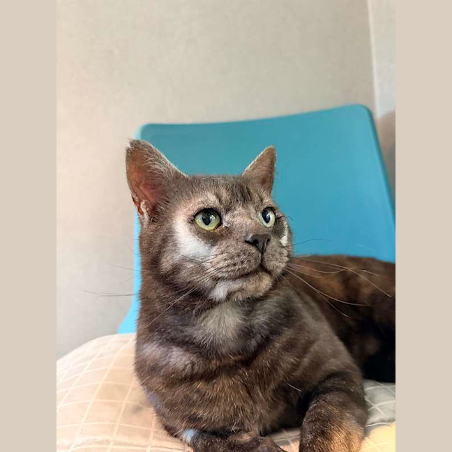 Photo of Nyx