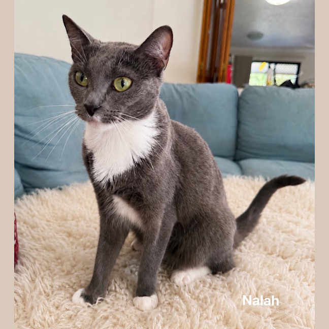 Photo of Nalah