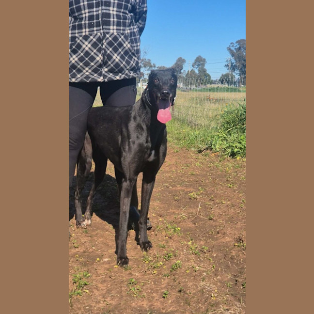 Photo of Roxy