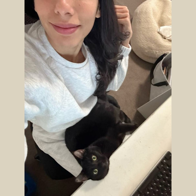 Photo of Milo   Malvern 