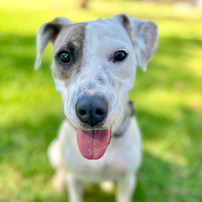 Photo of Rosie