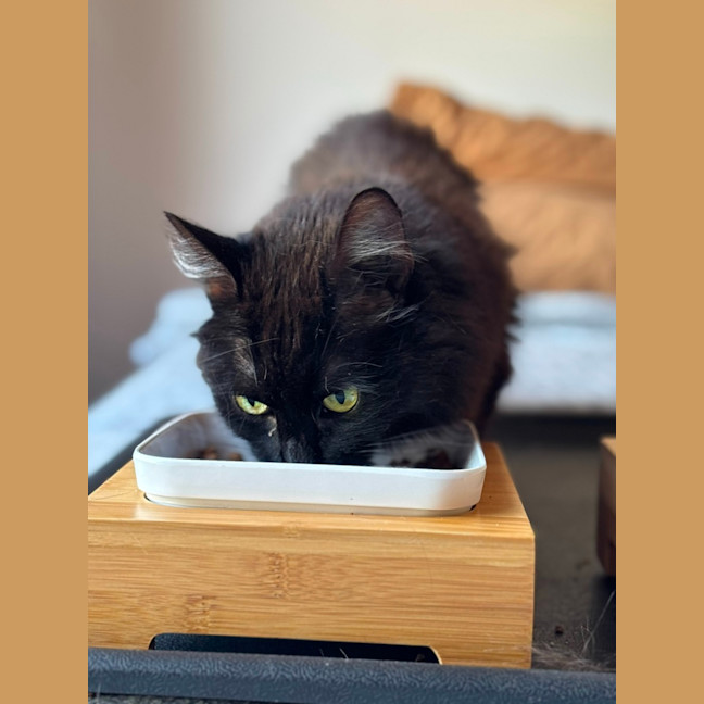 Photo of 👑Olivia👑