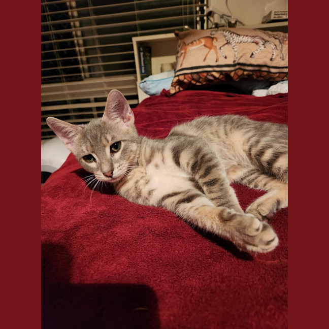 Photo of Ridoc