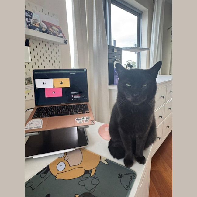 Photo of Milo