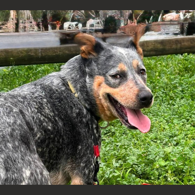 Photo of Wally 